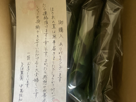 魂のほうれん草 7袋（1kg）