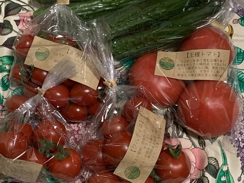 初めてご注文のお客様へ【初回限定】ぶるベジトマトのお試し！旬🍅の詰合せ♪（とまと４品種＋朝モギきゅうり）