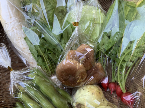 【一日限定1組！】キノコと夏野菜、詰め得ＢＯＸ　８袋のところ10袋以上！