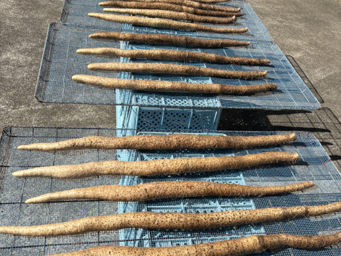 大分県産カット自然薯　1kg真空パック入り‼️