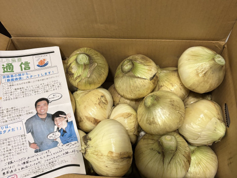 【家庭用】元気いっぱいの淡路島 新玉ねぎ！（10ｋｇ）【ひょうご安心ブランド認証】シェアや飲食店さん向け　訳あり