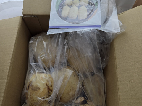 茨城県土浦市ブランド認定『市川蓮根』！！ミシュランガイド掲載店に納品！！【贈答１キロ】