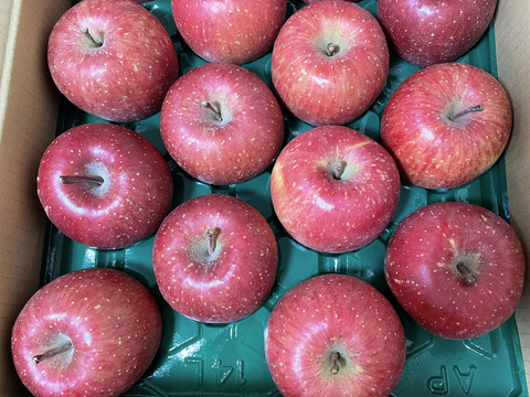 葉とらずサンふじ５キロ家庭用