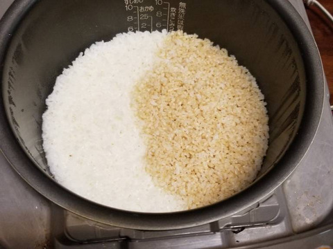 新米令和おいしい玄米  ２個セット 有機米 オーガニック