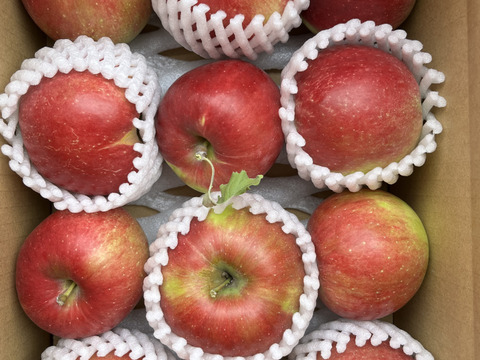 【クール便】紅玉❗️秋映詰合せ❗️3kg箱  信州りんご