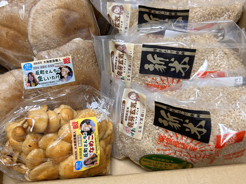 令新6年新米】 新潟県産コシヒカリ 反町の【発芽前玄米】は