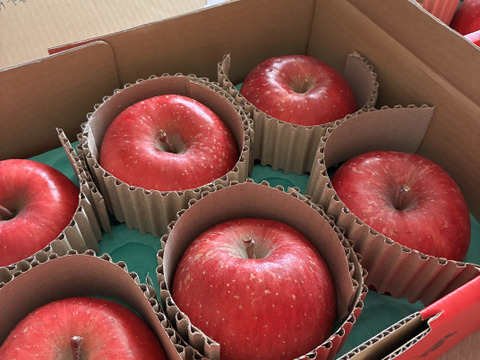 【蜜入保証】【サンふじ】（2kg・9～10個入り）パリパリ・ジューシーお得な家庭用