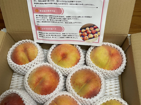 【晩夏のギフトに！】果汁たっぷり！関農園の桃『黄金桃』3kg（6～9玉）