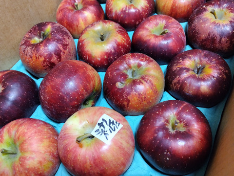信州りんご🍎C品8キロ：長野県産のふじ｜食べチョク｜産地直送(産直)お
