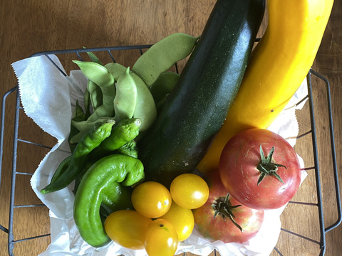 旬の野菜セット　有機無農薬　約8品目
