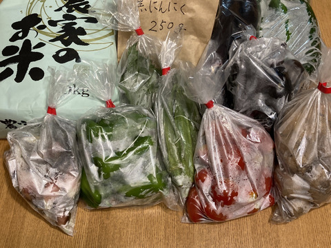 お米５kgとにんにく（白黒）＆季節野菜セット（旬枝豆）