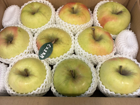 【冬ギフト】🍎『希少！』ぐんま名月🍎約3キロ8〜11玉(家庭用)ID177902