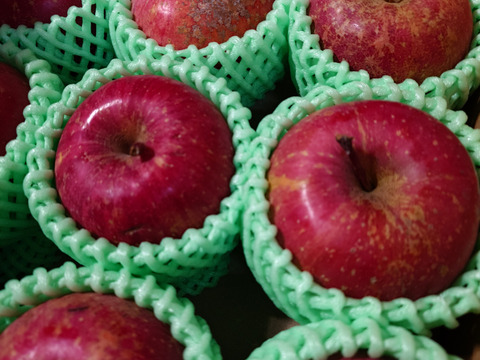 【小玉】☆化学農薬不使用りんご☆サンふじ/小玉12〜15個入り（2.5キロ）