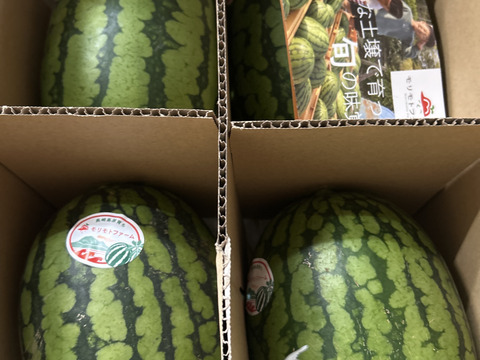 小玉スイカ４玉