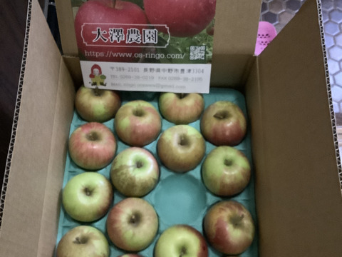 プライスダウン！！信州りんご🍎C品8キロ