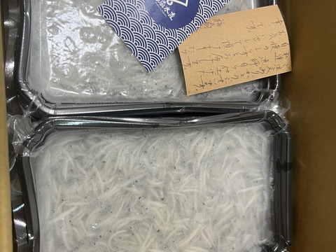 春しらす]獲れたて新鮮☀️絶品生しらす(100g×4パック