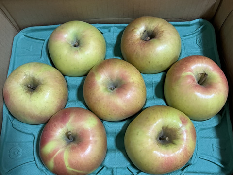 【このりんごを嫌いな人はいますか？？】名月 3キロ箱 6玉〜15玉サイズ 商品ID44435 ぐんま名月 甘い 信州 リンゴ 幻 幻のリンゴ 予約 希少