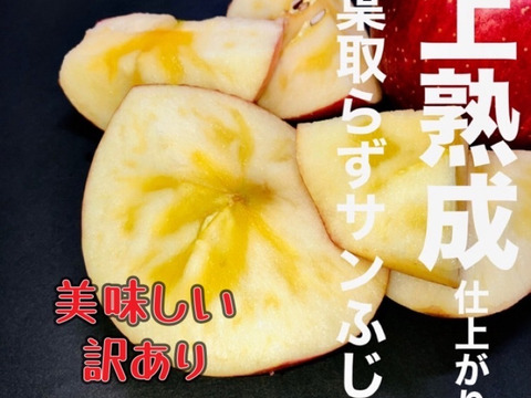 スーパーなどには滅多に並ばない冬採りプレミアム‼︎今年も完熟の証【いぼりりんご】が仕上がりました◎青森県産蜜入り葉取らずサンふじ３キロ　大玉中玉9個〜11個詰め