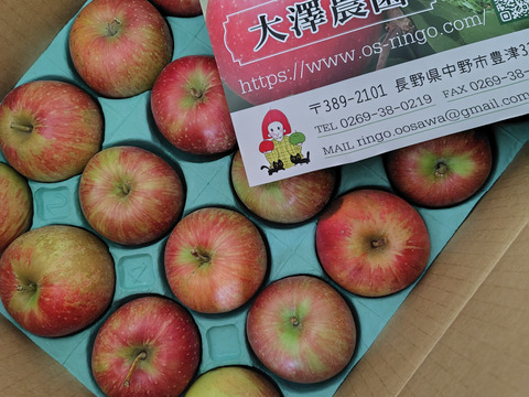 『ふじ』＆『ぐんま名月』食べ比べ小玉8キロ🍎🍏(42～48玉)