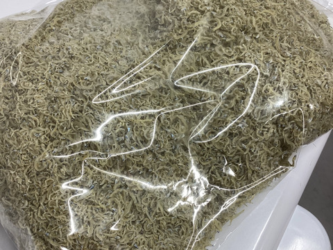 業務用ちりめんじゃこ１ｋｇ　今回の訳あり”色”サイズは小さ目【すぐ発送！包装もギリギリコストダウンお得品瀬戸内ちりめん【小魚】賞味期限60日同梱ＯＫ