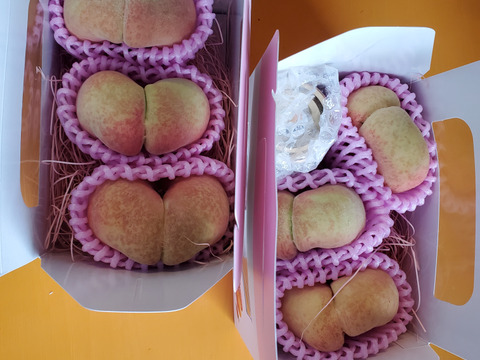 孫悟空、楊貴妃が食べた桃🍑
蟠桃(ばんとう)1キロ🍑