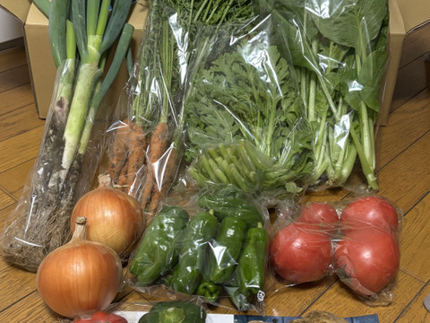 寒暖差が美味しさの秘訣！高原野菜セット【L: 4〜5人用】