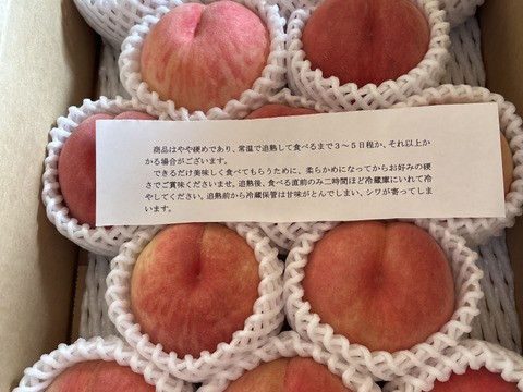 ※予約ページ限定100セット　桃　太陽をたくさん浴びた 甘い桃　あかつきご家庭用約３キロ