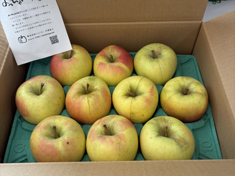 【残りわずか】青森県産ぐんま名月💛家庭用約2.7Kg🍏　数量限定