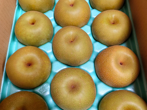 梨『あきづき』　２kgサイズ箱　家庭用　シャリシャリ、ジューシーであまい梨！