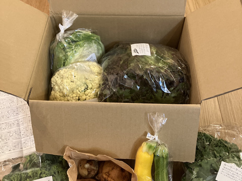 【食べチョクアワード2025受賞】野菜セットＳサイズ（７品）【農薬・化学肥料・動物性堆肥｜不使用】