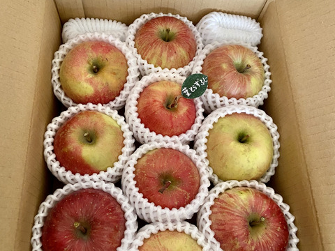 ★★新春セール★★【冬ギフト】 🍎レビュー数1900件突破！！《家庭用》青森完熟葉とらずふじ８〜１２玉(約３kg)🍎ID119812 りんご 訳あり