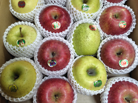 🍎毎日食べてもらいたい！🍎ジューシー◆甘さが違う！葉とらず入り品種ミックス🍎贈答用5キロ【冬ギフト】のし対応