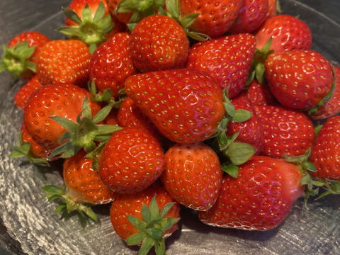 お買い得♪ジャム用いちご（ゆうべに）2kg