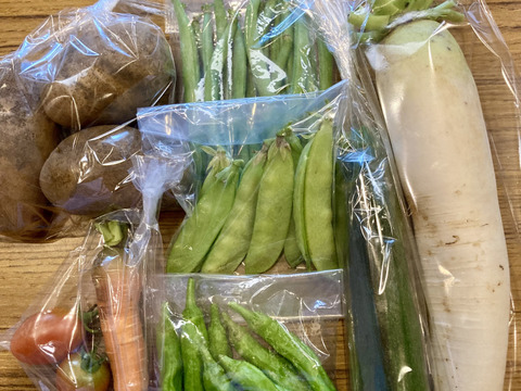【栽培期間中、農薬・肥料不使用】旬のお野菜詰め合わせセット（5～8品目）