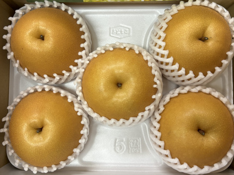 【とにかく甘い‼️】にっこり梨🍐贈答用約2.2kg(3-6個)✨️新高と豊水の交配種✨️甘くてキメが細かでとってもジューシー💦酸味が苦手な方にはおすすめ品種です😋鮮度を保つ為クール便でお届け🚚
