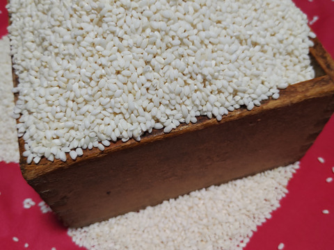 令和6年産　もち米（喜寿もち）5Kｇ　特別栽培米「2名様限定」