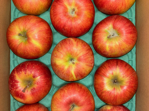 おやつ感覚で！？そのままパクっと！甘くてジューシー！長野県シナノスイート小玉2.8㎏