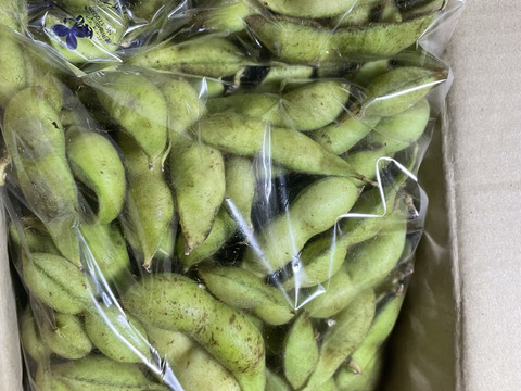 兵庫県丹波篠山市産 6.4キロ黒枝豆 さやのみ10月11日 (土曜日)発送 ふるさと納税 豆類 枝豆 兵庫県 丹波篠山市 2025年10月発送 令和