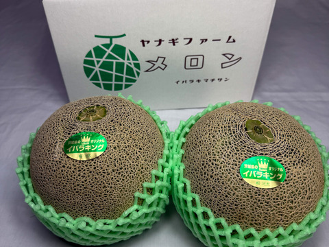 【糖度満点イバラキング】 口の中でとろけて飲める果実🍈