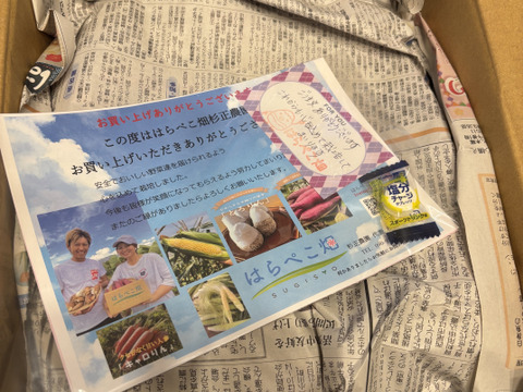 CBCテレビ チャント！で紹介【ホクホク金時】4.5kg 料理で活きる万能いも-簡単レシピつき-