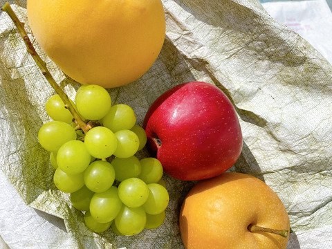 咲1歳記念Box！ Qにお任せ、家庭用詰め合わせ！3kg 箱