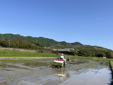 農家自然のお米　令和６年製　こしひかり　淡路島県　① Amazon.co.jp: とれたて新米 淡路島こしひかり 令和6年産 10kg