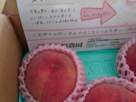 【夏ギフト】初夏を彩る桃 品種はおまかせ！朝採りした桃をその日に発送します！