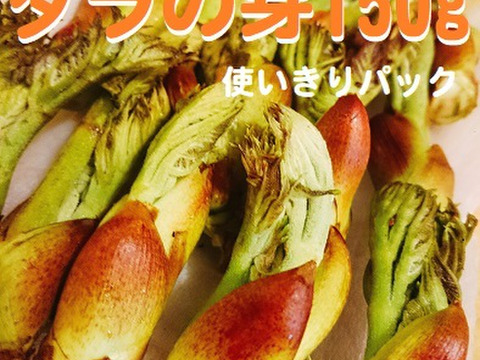 【150g】山菜の王様登場！妙高山の手摘み天然朝採り たらの芽 1番芽だけ厳選してお届け！食べごたえ満点！