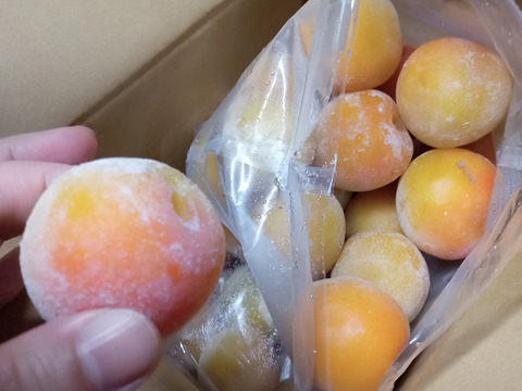 大粒の南高梅を冷凍し風味そのままお届け！！（１ｋｇ×２袋入）