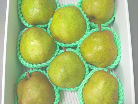 特選品 3kg こだわり栽培 ラ・フランス　大玉8~9玉入り　ギフトご贈答にも　山形県産西洋梨ラフランス