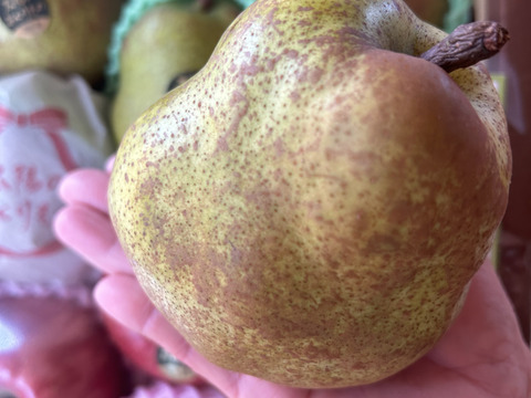 【冬ギフト】ラフランスとサンふじ大玉3キロ詰め合わせ【のし対応します！】