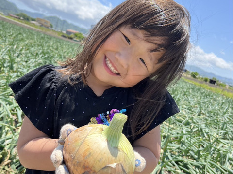 《期間限定》【淡路島産】
地元農家でも評判の 甘くて美味しい新玉ねぎ七宝 5kg