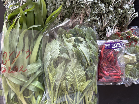 柔らか新芽、香り良い美味しい蓬（ヨモギ）300グラム以上！採れたての季節の野菜もサービスでお入れしてお送りいたします