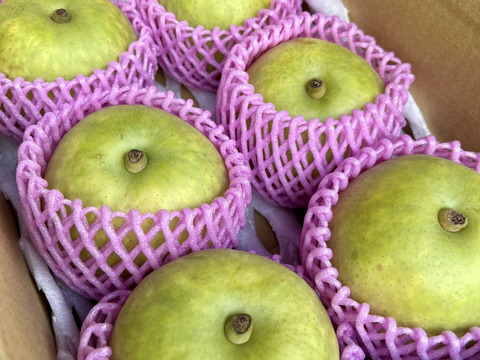 なつひめ梨　5キロ